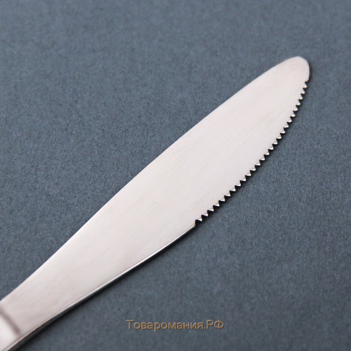 Нож столовый «Нью Гастро», длина 20 см, толщина 2 мм, цвет серебряный