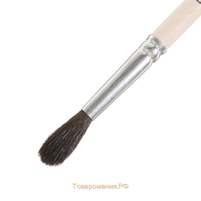 Кисть для рисования, Белка круглая № 5 (диаметр обоймы 5 мм; длина волоса 20 мм), деревянная ручка, Calligrata