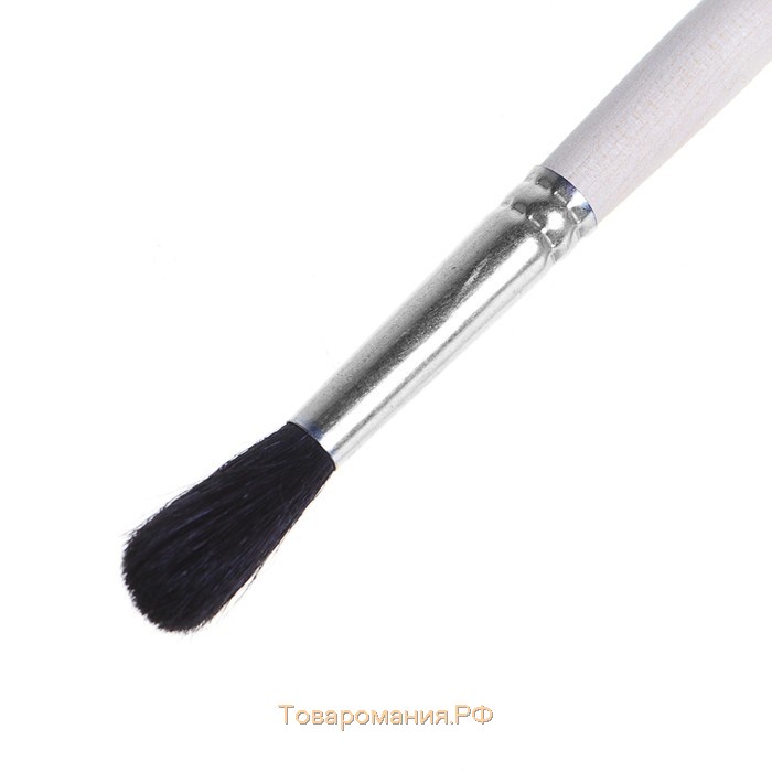 Кисть для рисования, Белка круглая № 6 (диаметр обоймы 6 мм; длина волоса 22 мм), деревянная ручка, Calligrata