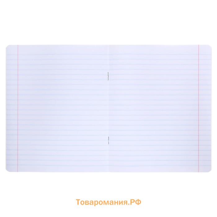 Тетрадь 12 листов в линию «Удивительные котята», обложка мелованная бумага, ВД-лак, МИКС