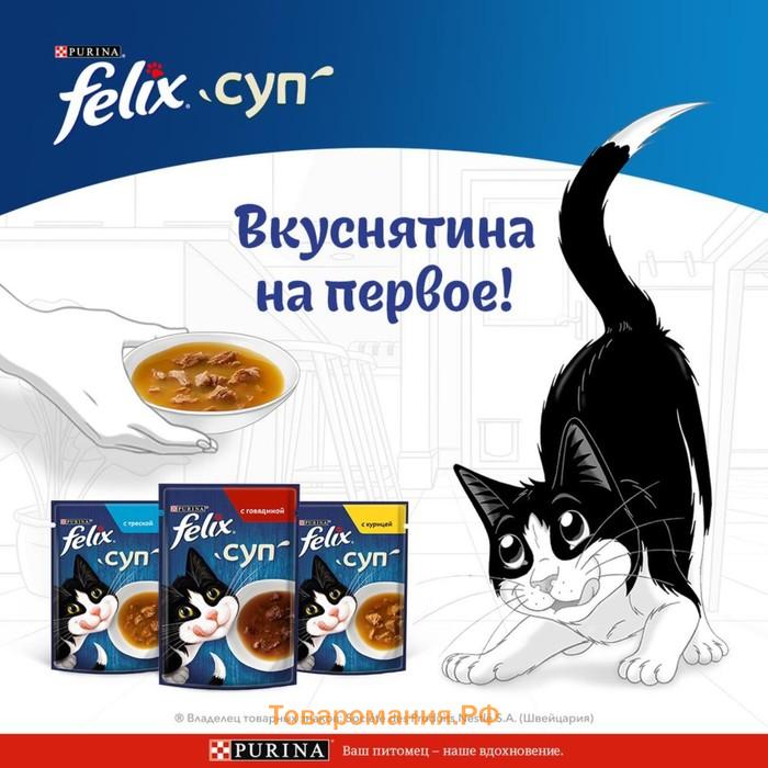 Влажный корм Felix Суп с курицей, для кошек, 48 г