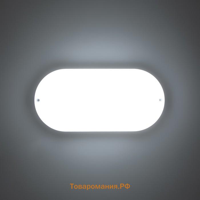 Светильник "Овал" LED 20Вт IP65 белый 6,8х13,5х27 см