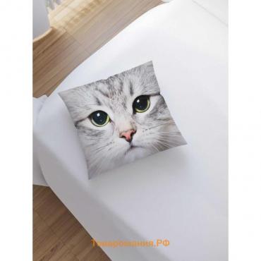 Наволочка декоративная «Суровый котик», на молнии, размер 45х45 см